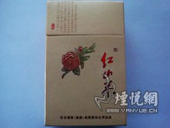 红山茶(精品)