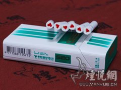 520(薄荷)