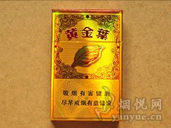 黄金叶(流金岁月)