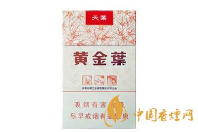 黄金叶天叶口感怎么样黄金叶天叶包装特点介绍