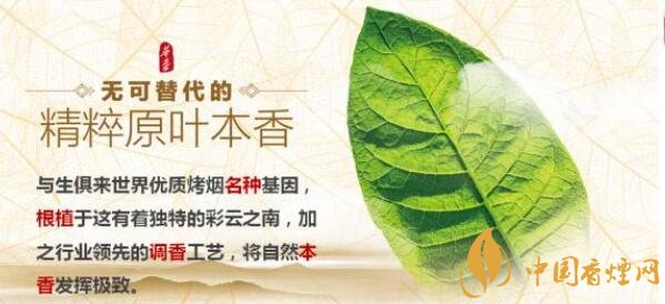玉溪新品香烟怎么样新款玉溪烟2017照片