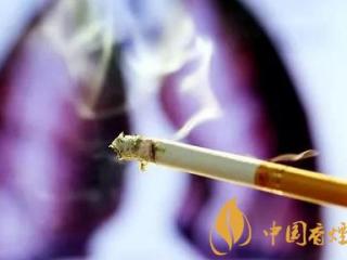 吸烟的危害警示 中国已有7.4亿二手烟的受害者！