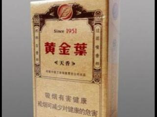 黄金叶(天香1951)怎么样 黄金叶天香1951好抽么