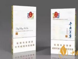 冬虫夏草：敢为人先的姿态坚定不移地推动品牌发展