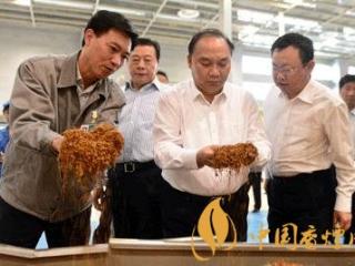 河南中烟新战略，瞄准市场需求强化技术支撑！