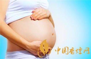 香烟对胎儿的危害  孕妇切莫吸烟