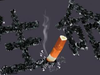 长白山(蓝尚)香烟怎么样，长白山蓝尚烟好抽吗