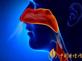 长期吸二手烟的危害 容易诱发这七种健康问题