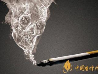 香烟烟雾对肺的伤害 首先从肺细胞开始！