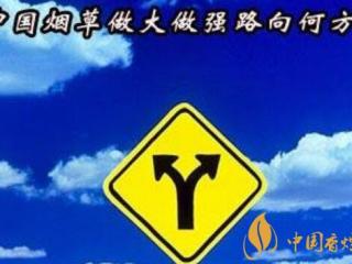 烟草多元化经营：2018年烟草行业形势下的战略突围