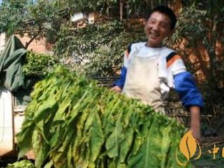 云烟(塞上好江南)怎么样 云烟塞上好江南好抽不