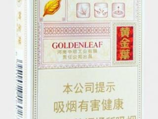 黄金叶乐途口感测评 小钢炮工艺不短韵味更长