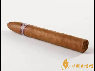 夏天如何储存雪茄 保持口感的几大方法