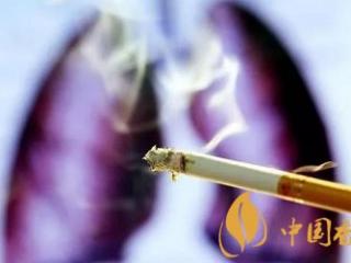 吸烟多久肺会变黑，这三个症状告诉你答案！