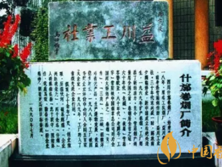 四川名烟有哪些(四川省政府认证) 四川最好的烟是什么(主牌号6个)