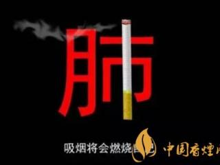 什么是烟肺 肺部变黑的症状和过程介绍