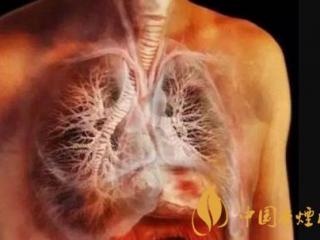 一天一包烟危害有多大 一天一包烟一年后身体的变化