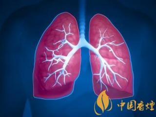 肺部不舒服其实是吸烟所致 想要清肺需先戒烟！