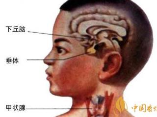 槟榔和烟哪个危害大(比真烟危害大) 槟榔配烟法力无边