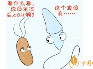 抽烟对精子质量影响很大吗 抽烟对精子的危害(阳痿甚至不育)