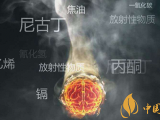 研究称年轻人吸烟越多右侧脑岛越稀薄