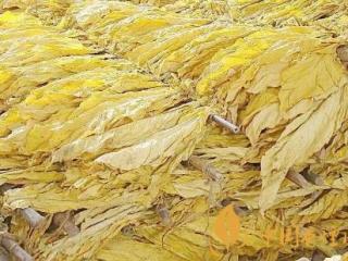 香烟有没有辐射 吸烟是否有辐射的真实情况介绍