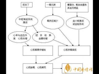 吸烟的危害：揭秘吸烟对心脏产生的种种危害
