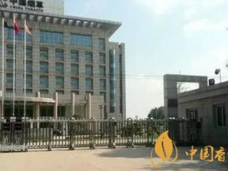 烟草公司员工收入高吗 烟草公司和公务员哪个更好