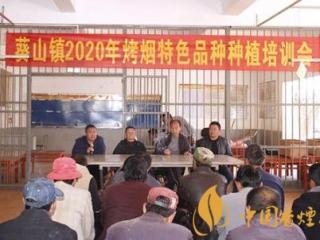 云南师宗县举办2020年烤烟特色品种种植培训！