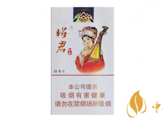 大青山昭君和亲中支软包价格及香烟品吸一览