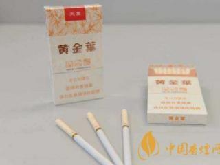 黄金叶天叶与小天叶的区别是什么